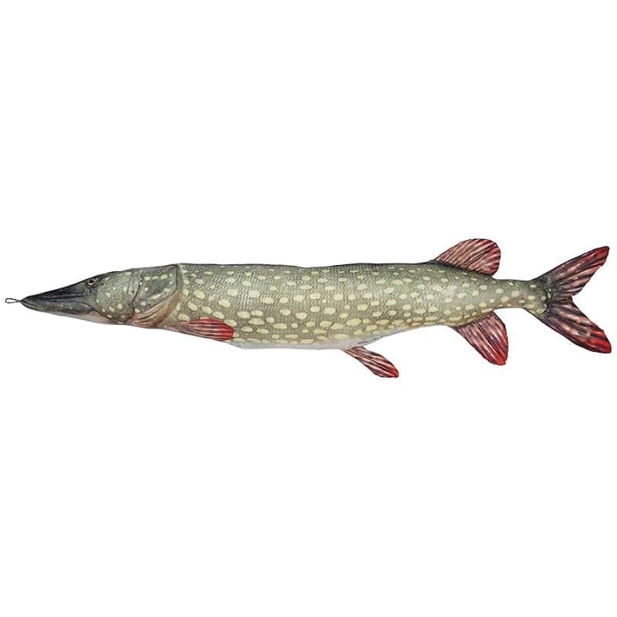 DULTON FISHES PIKE 195 クッション　抱き枕 Amazon｜ダルトン(Dulton) フィッシーズ パイク 195 暮らしに
